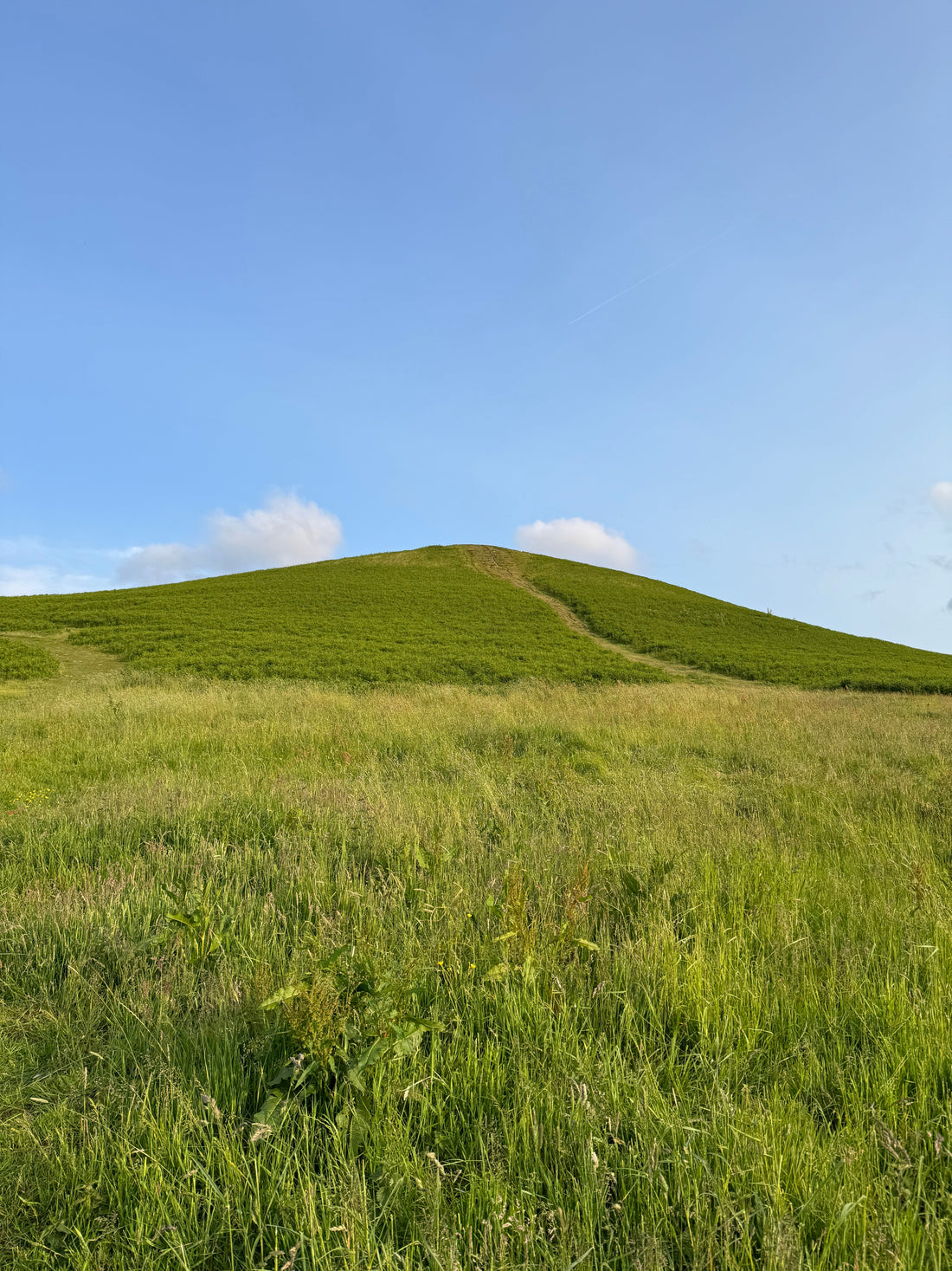 Capturing a Local Landscape – A New School Project Begins