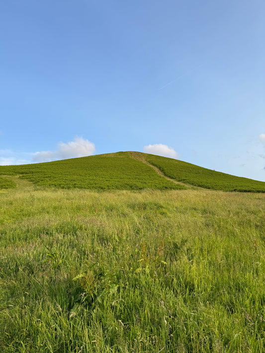 Capturing a Local Landscape – A New School Project Begins