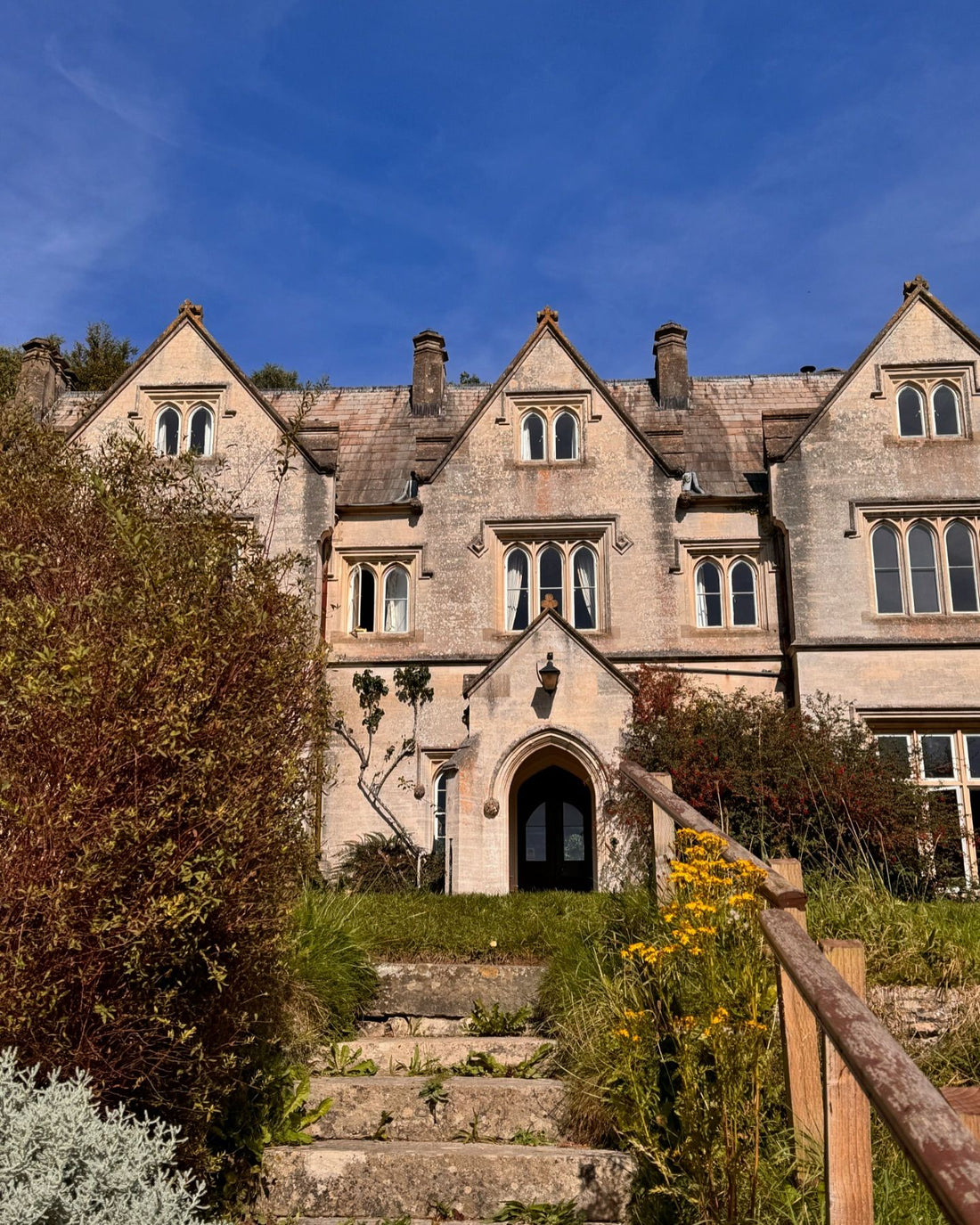 Relax, Reset, and Paint – Join Me at Hawkwood