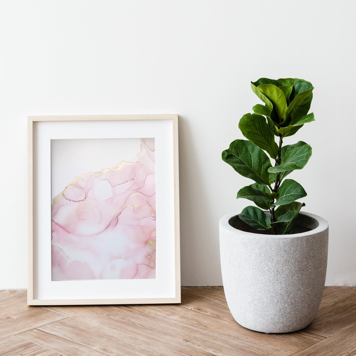 Soft pinks floating