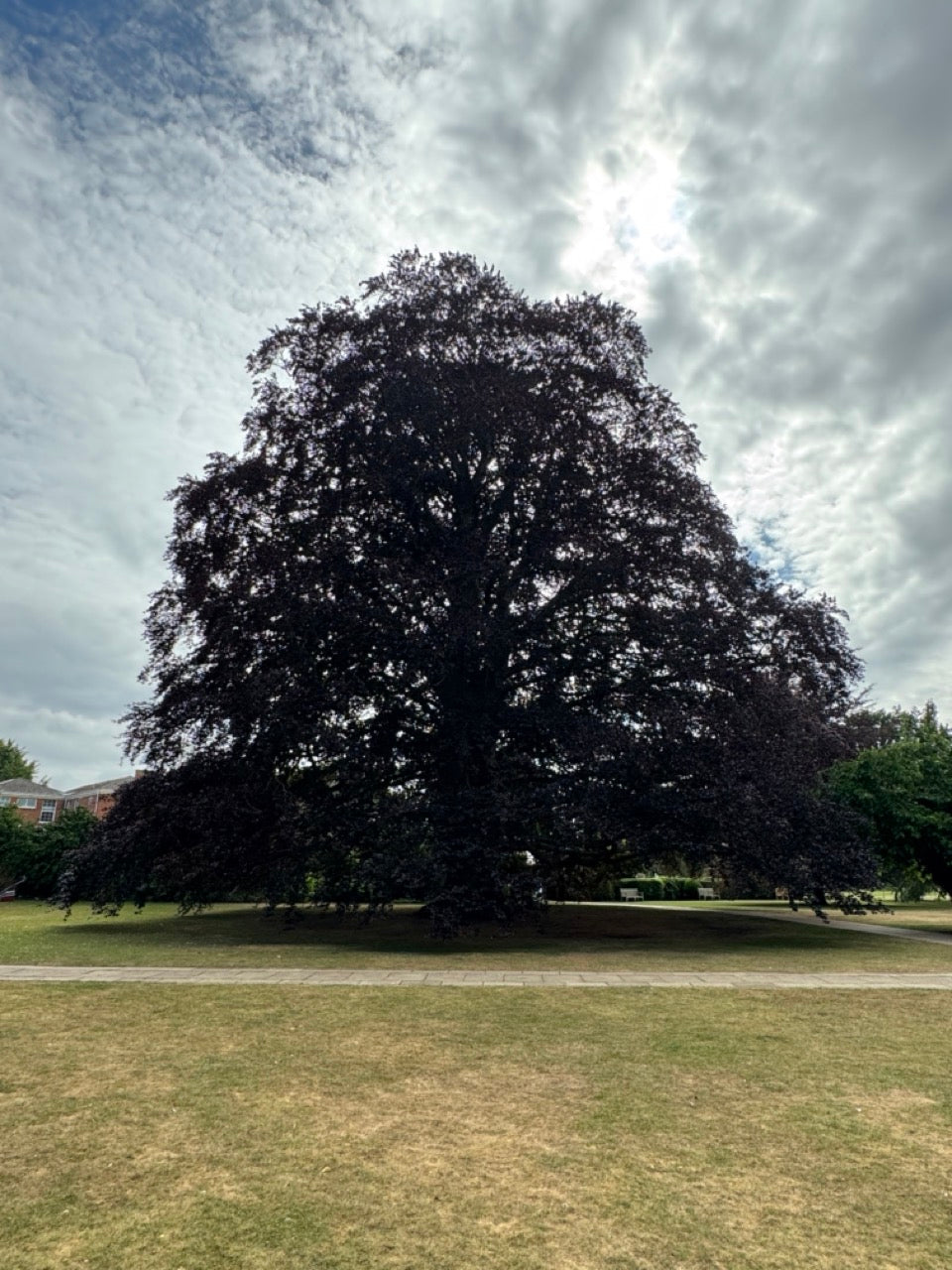 Creativity in May: Taking it Outside