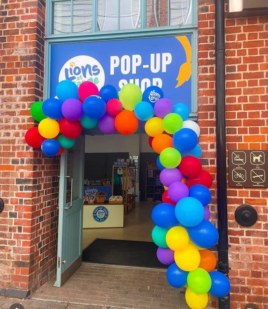 Artist Takeover at Lion pop up shop